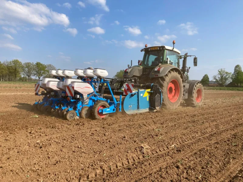 Mais zaaien op 50 CM